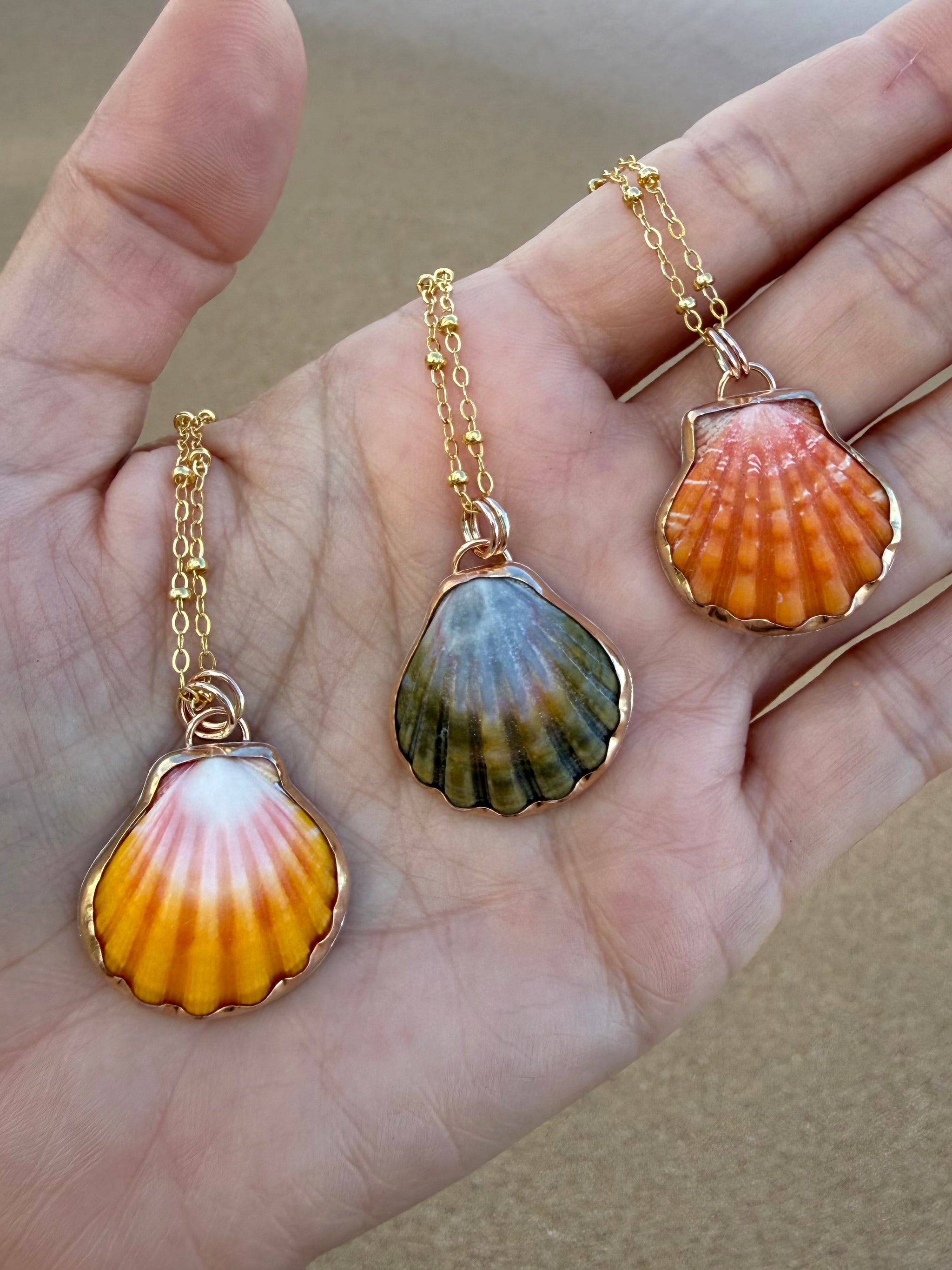 Sunrise Shells – WhiteSandJewelry