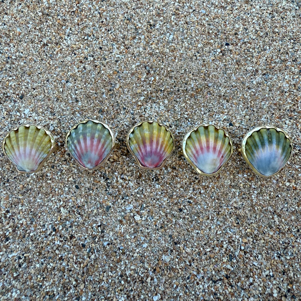 Sunrise Shells – WhiteSandJewelry
