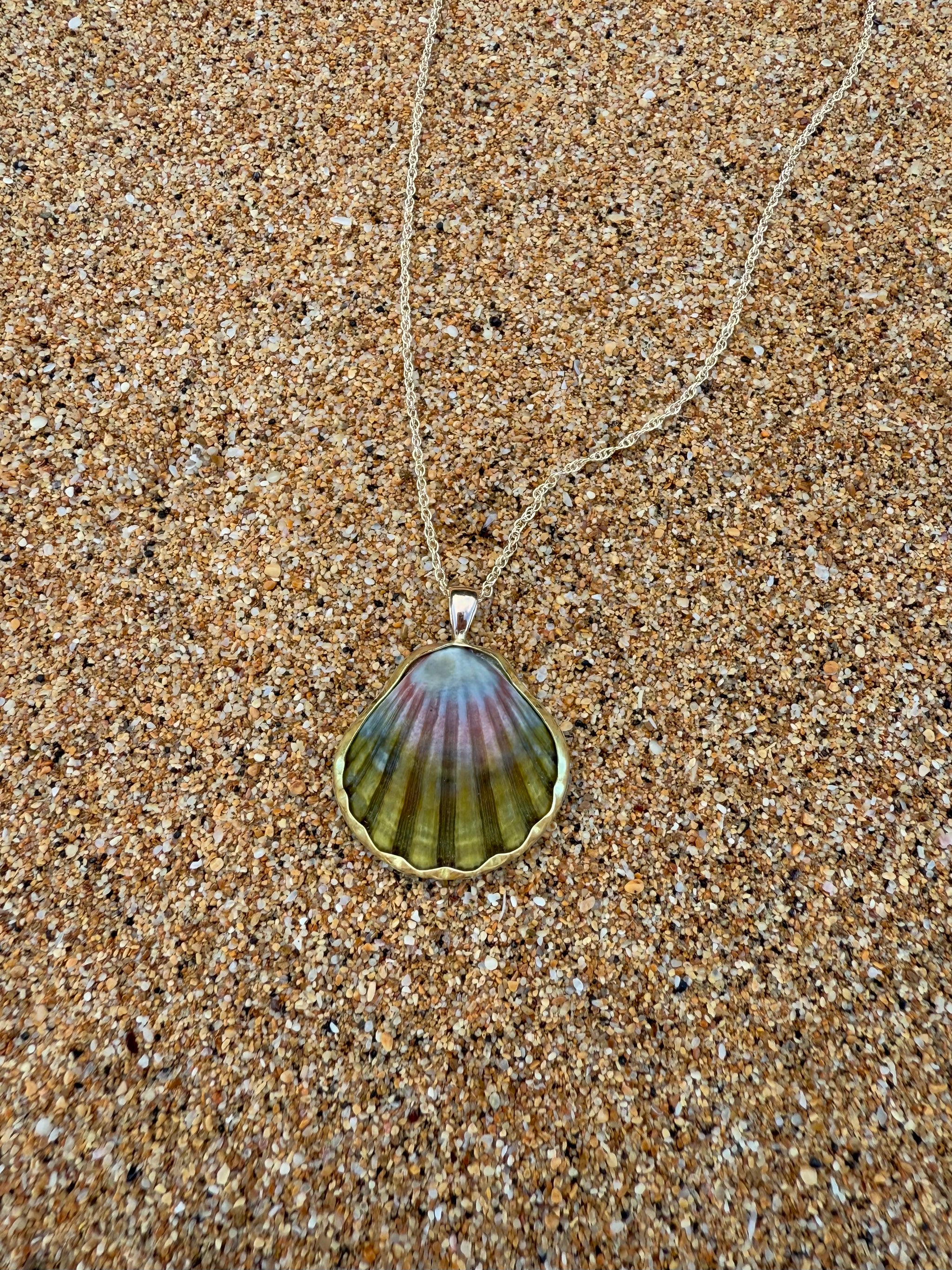 Sunrise Shells – WhiteSandJewelry