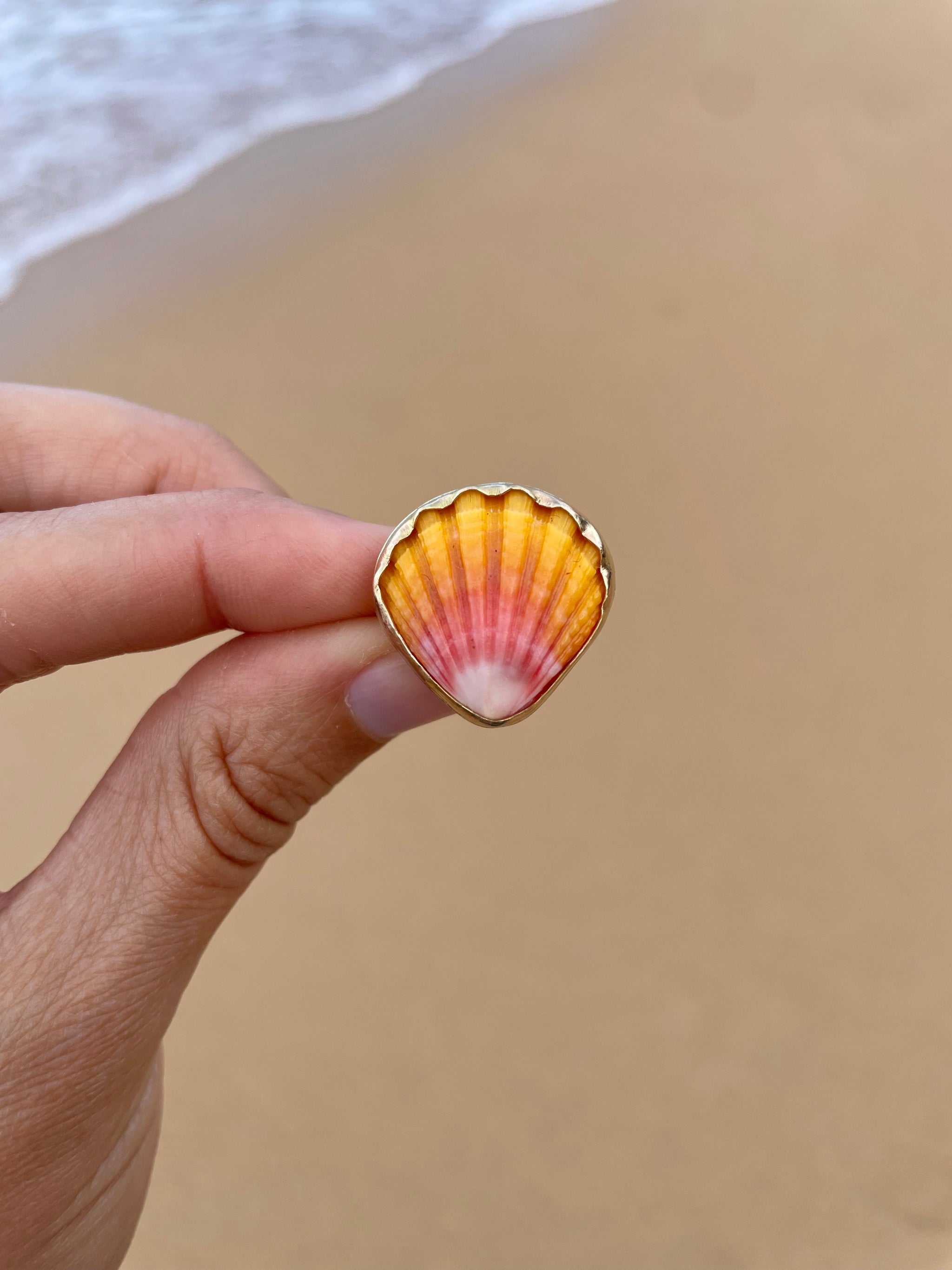 Sunrise Shell Burgundy Kahelelani Baby Cone Shells Lei  Sunrise shell display picture 1