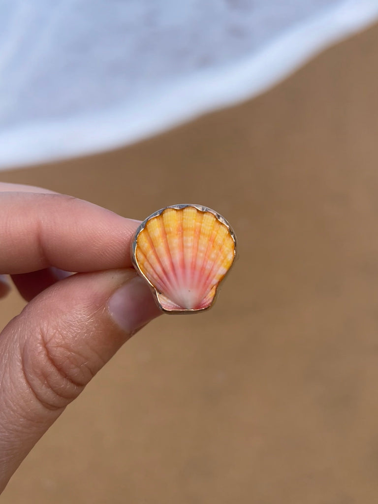 Sunrise Shells – WhiteSandJewelry