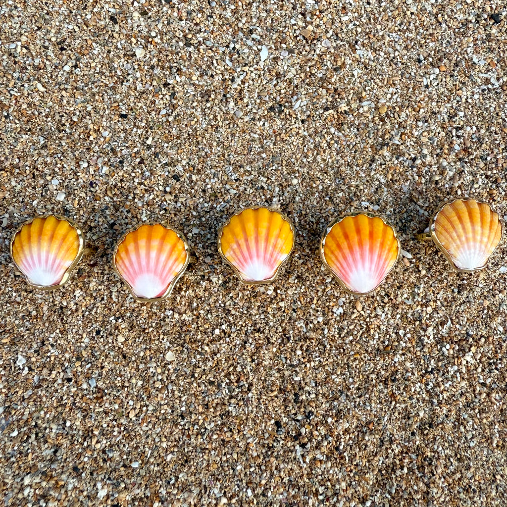 Sunrise Shells – WhiteSandJewelry