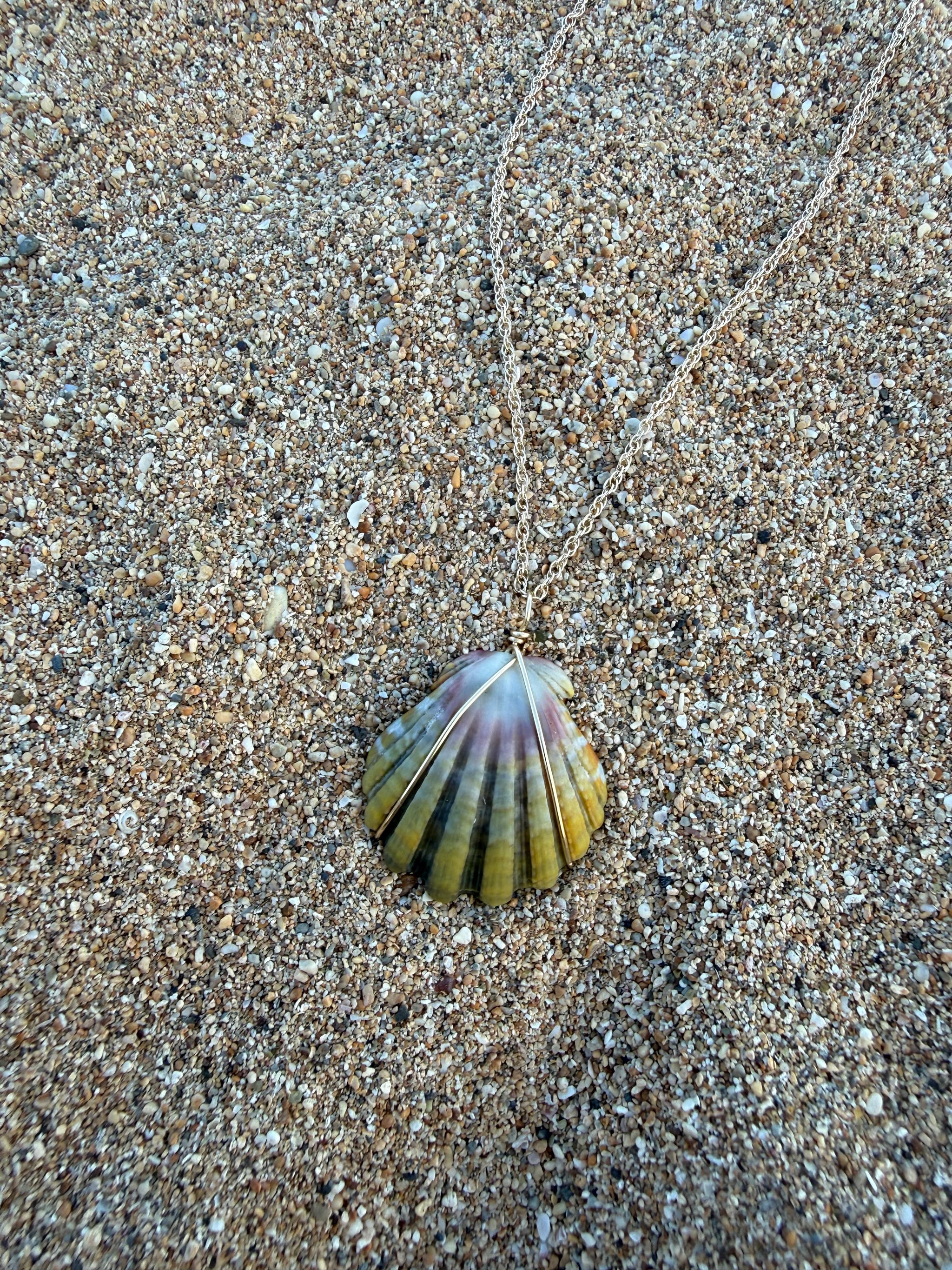 Sunrise Shells – WhiteSandJewelry
